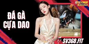 Đá Gà Cựa Dao - Quy Định Và 3 Kinh Nghiệm Tăng Chiến Thắng