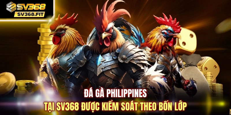 Đá gà Philippines tại SV368 được kiểm soát theo bốn lớp