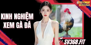 Kinh Nghiệm Xem Gà Đá - Cách Đánh Giá Chiến Kê Chuẩn Xác