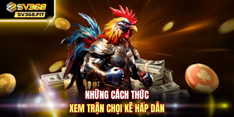 Những cách thức xem trận chọi kê hấp dẫn