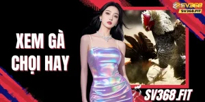 Xem Gà Chọi Hay - Nhận Biết Tướng Mạo Và Mẹo Nuôi Dưỡng